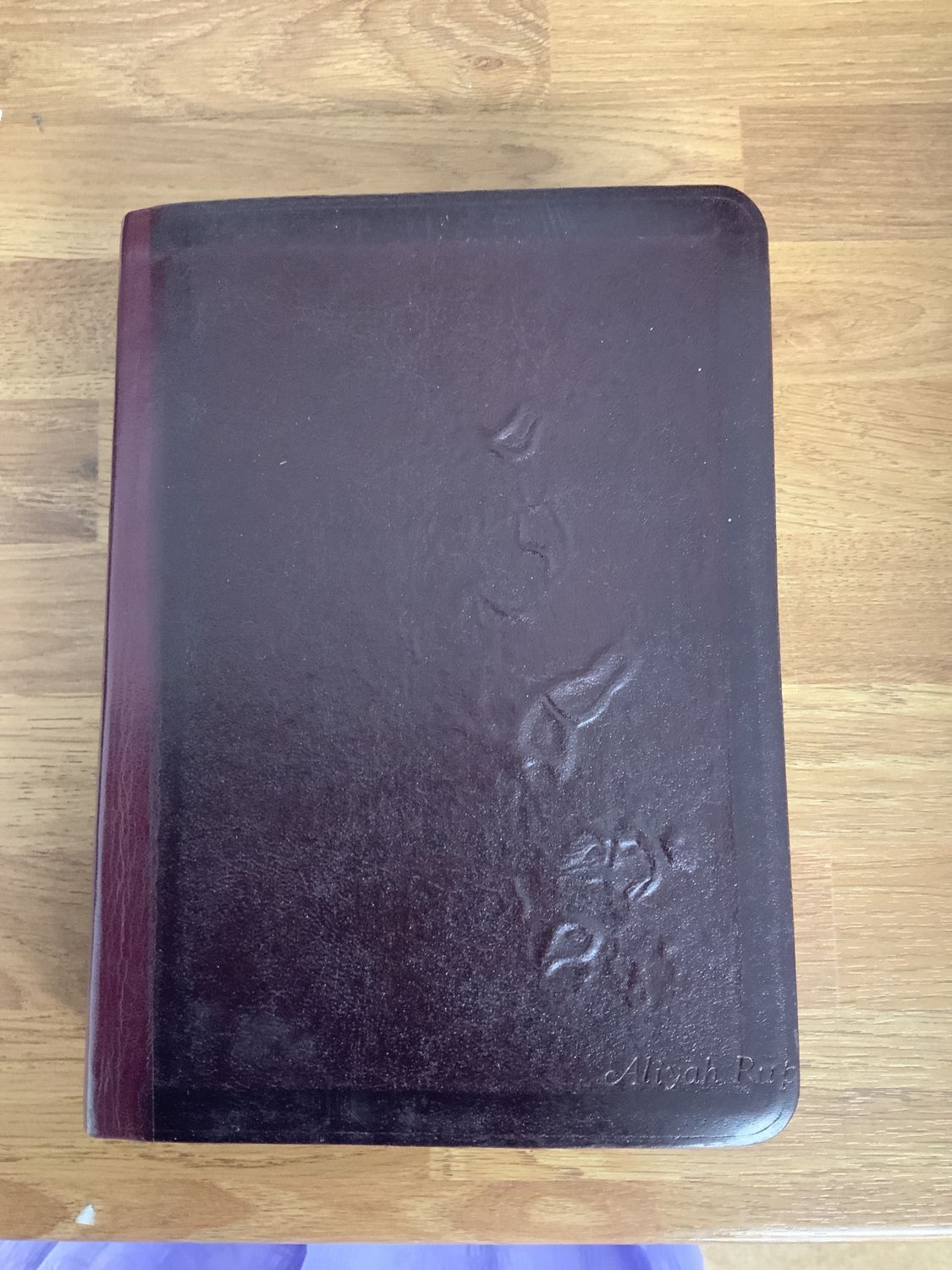 ***PRELOVED/SECONDHAND*** The Holy Bible