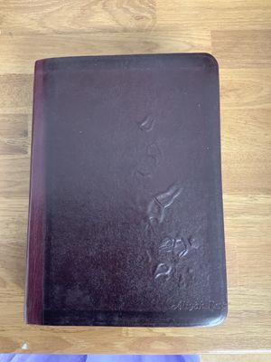 ***PRELOVED/SECONDHAND*** The Holy Bible