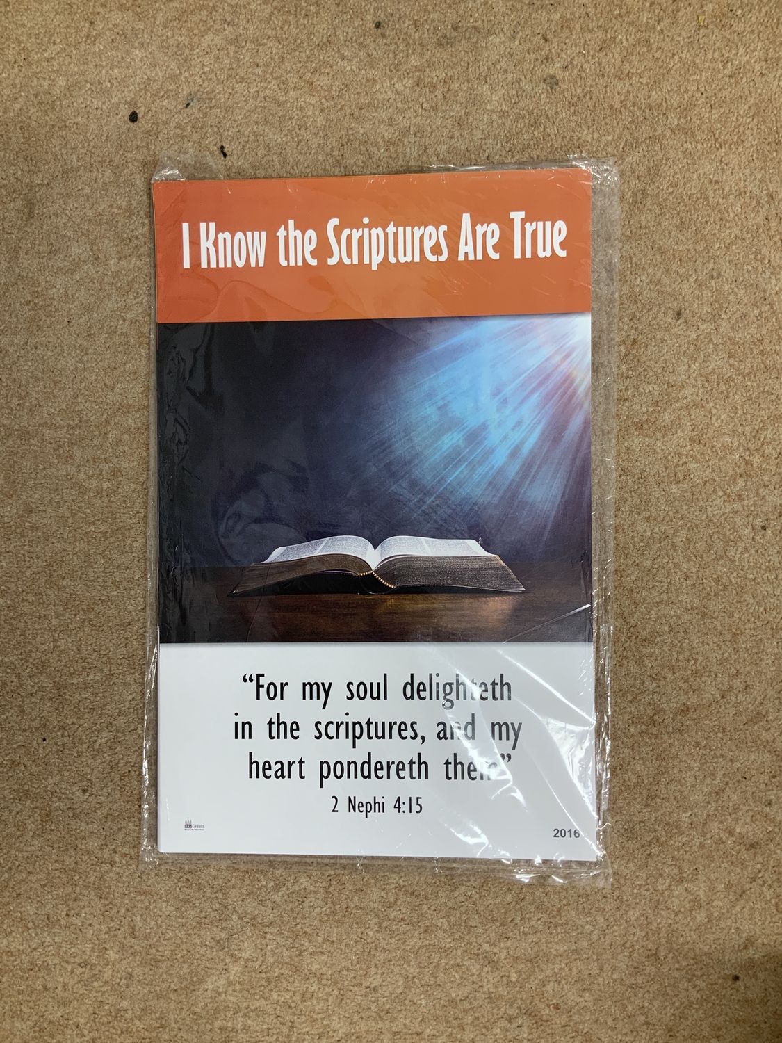 ***PRELOVED/SECONDHAND*** I Know the Scriptures are True
