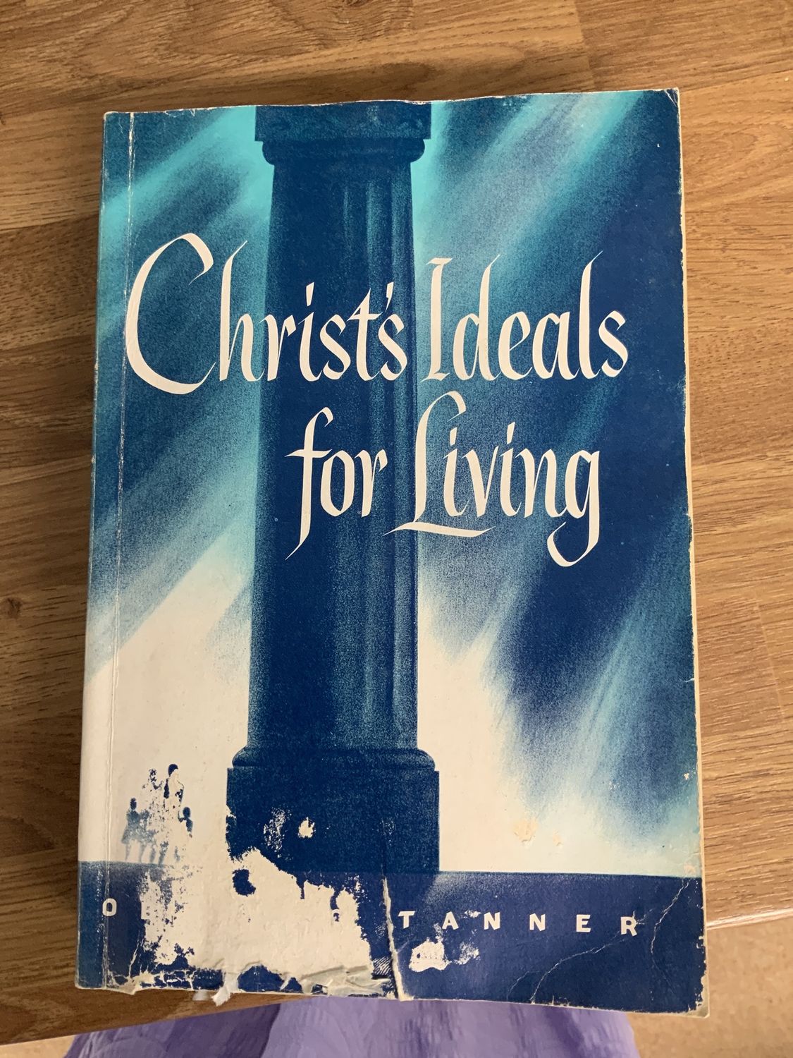 ***PRELOVED/SECONDHAND*** Christ&#39;s Ideals for Living