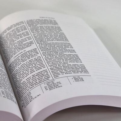 The Book of Mormon, Journal Edition. Pink Floral (No Index) Hardcover