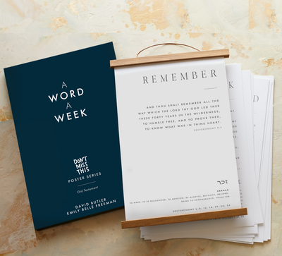 Don't Miss This Old Testament Poster Set by Emily Belle Freeman, David Butler