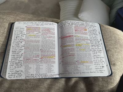 The Doctrine and Covenants and Pearl of Great Price, Journal Edition, Faux Leather Unlined (No Index)