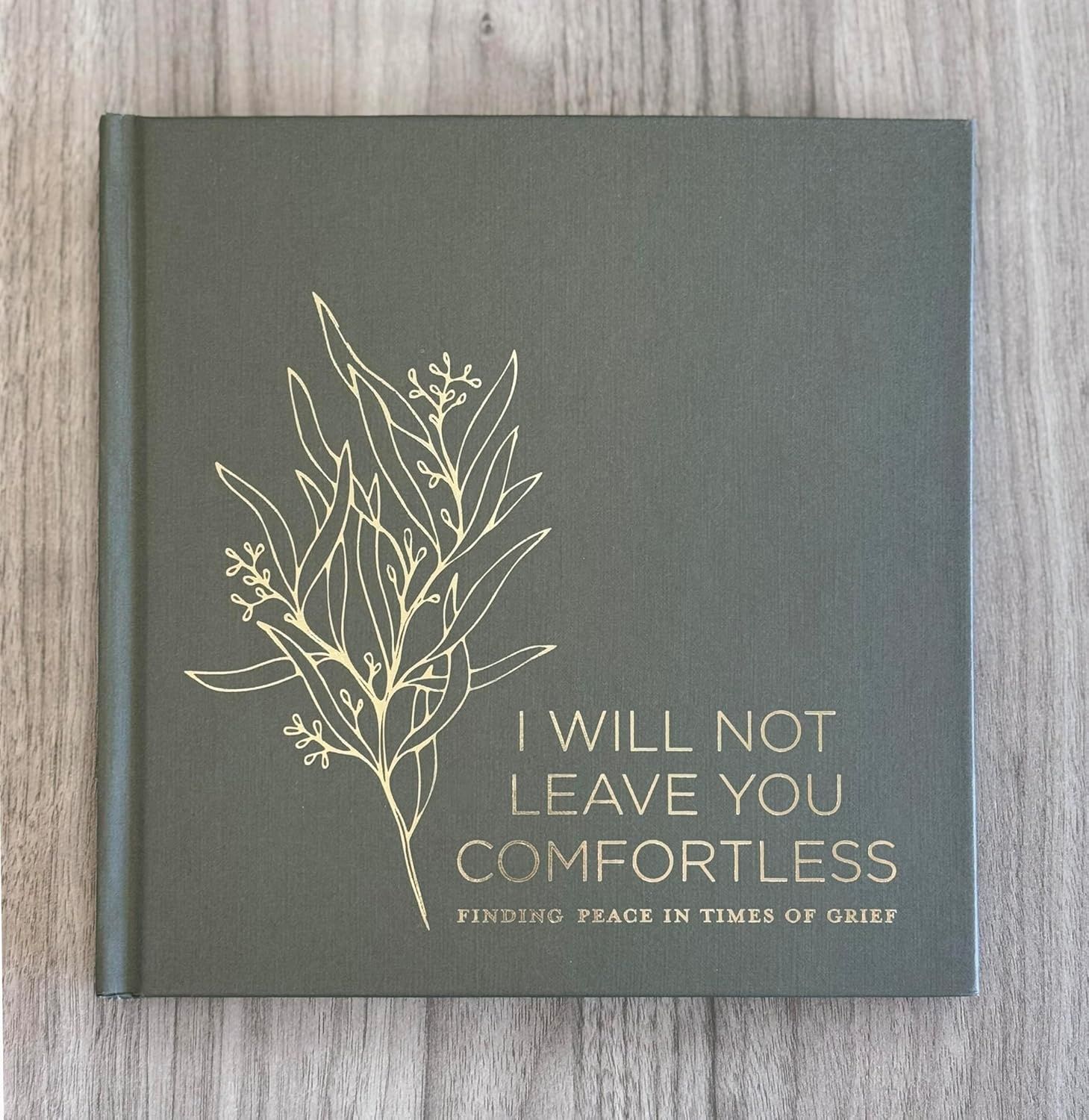 I Will Not Leave You Comfortless Finding Peace in Times of Grief