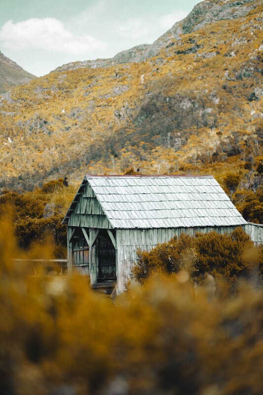 Brown House