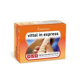 Vittal in express 20 viales
