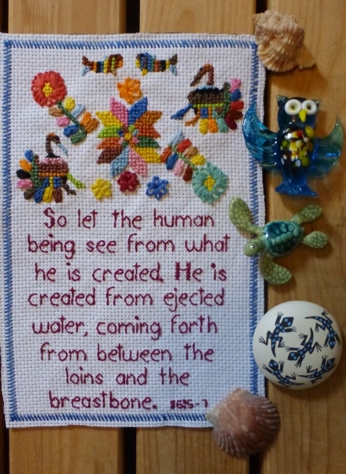 FALYANZURI AL-INSANU MIMMA KHULIQA (So Let The Human Being See From What He is Created)