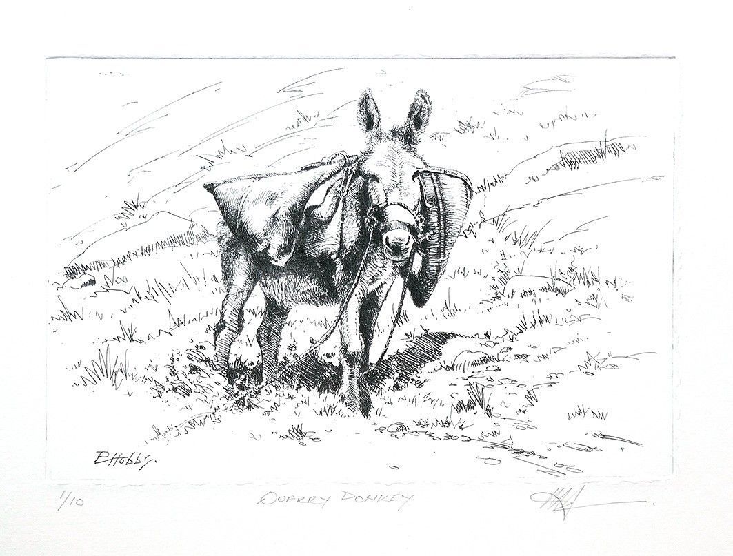 Quarry Donkey
