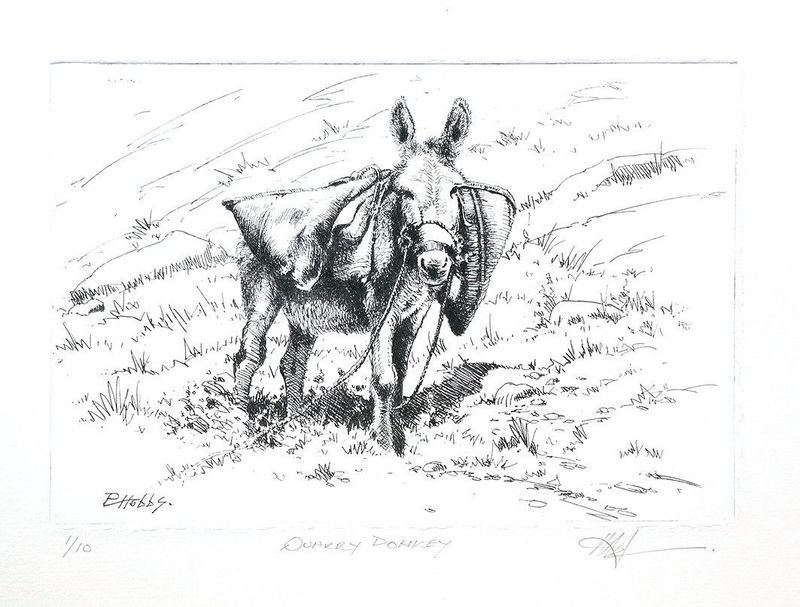 Quarry Donkey