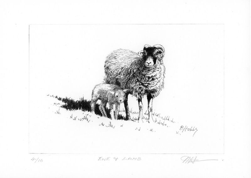 Ewe and Lamb