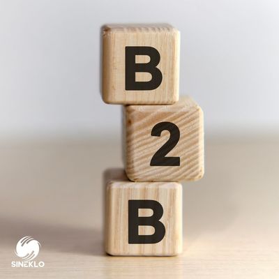 B2B Partner Program