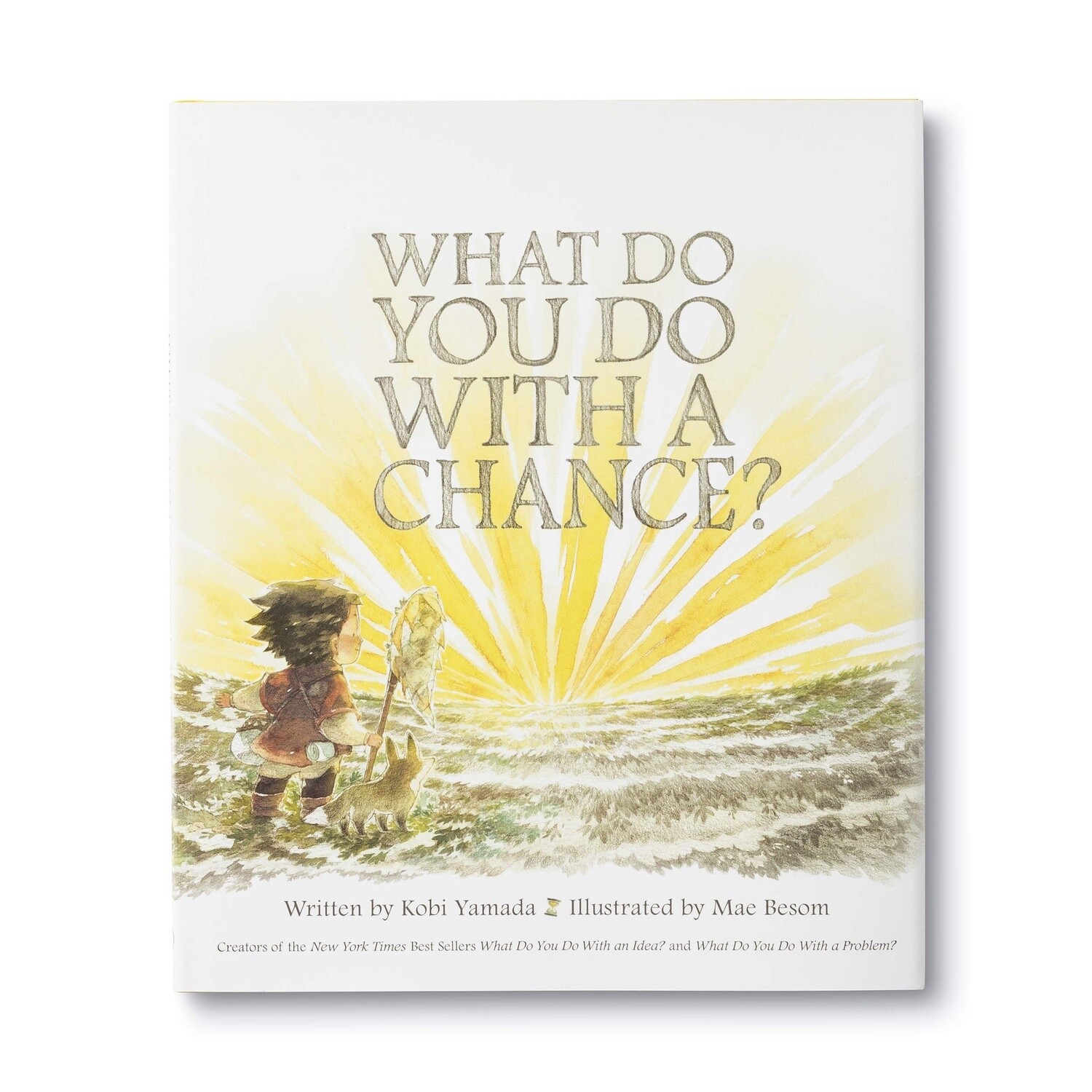 What Do You Do With A Chance? by Yamada