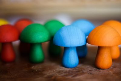Colour Mushrooms - Set of 10