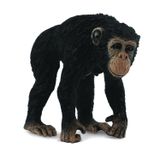 Chimpanzee - Female