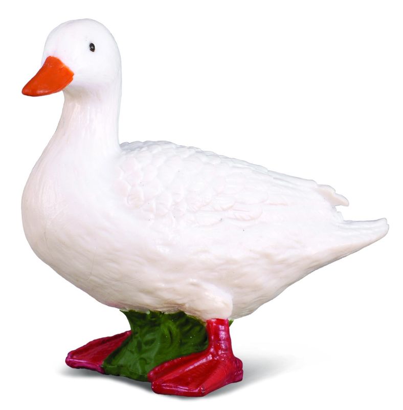 White Duck