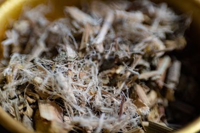 Respire | Lung Cleanser