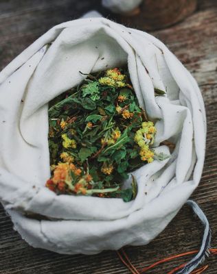 Respiratory Support  | Seasonal Wellness
