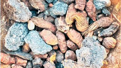 Safi Restore Smoke Incense | Food Grade