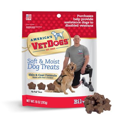 Treat BJ Vet Dog Treat 10oz