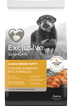 Exc Lg Breed Puppy 30lb