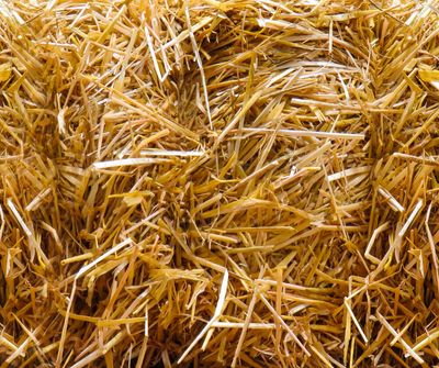 Straw 1/2 Bale