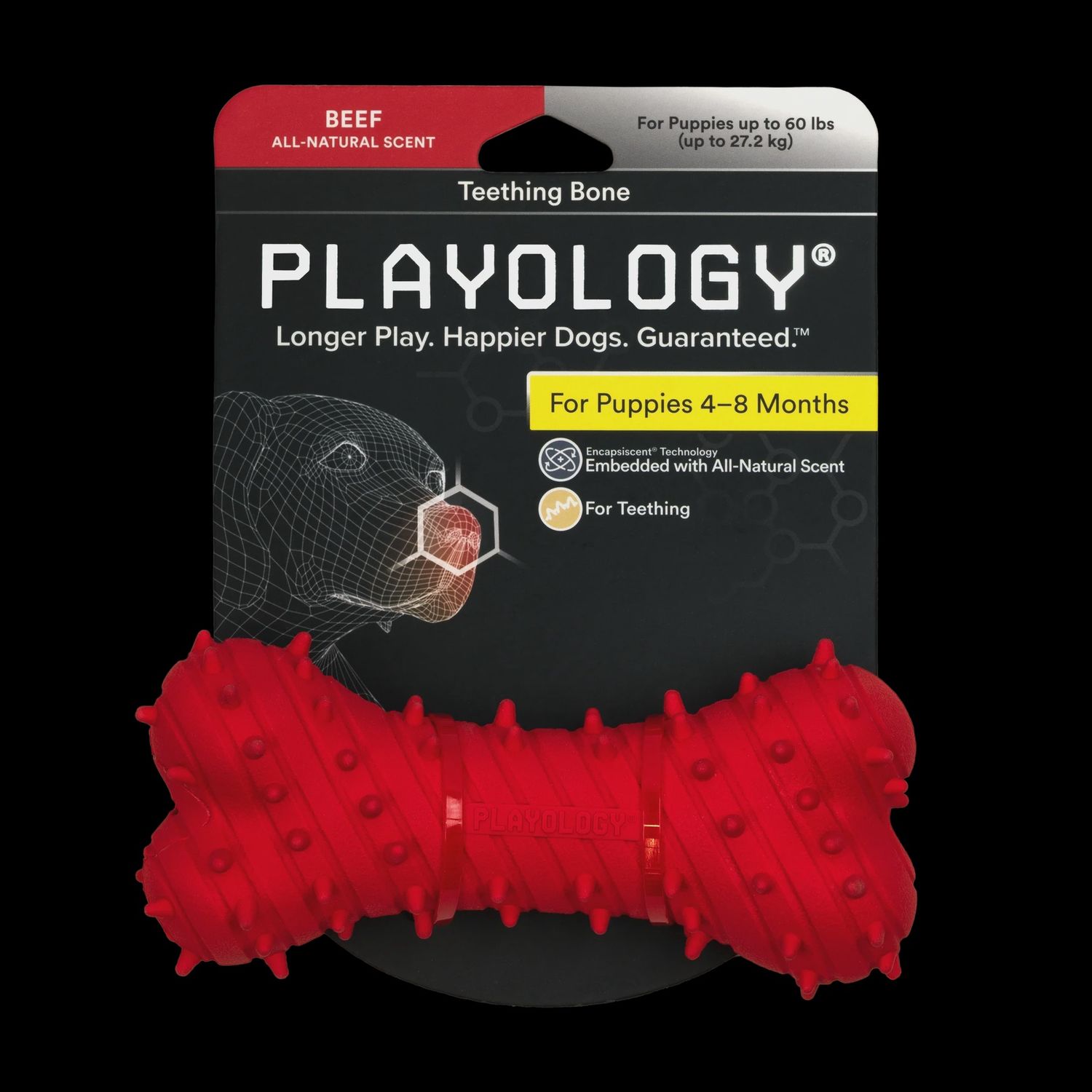 Toy Playology Teething Bone Sm