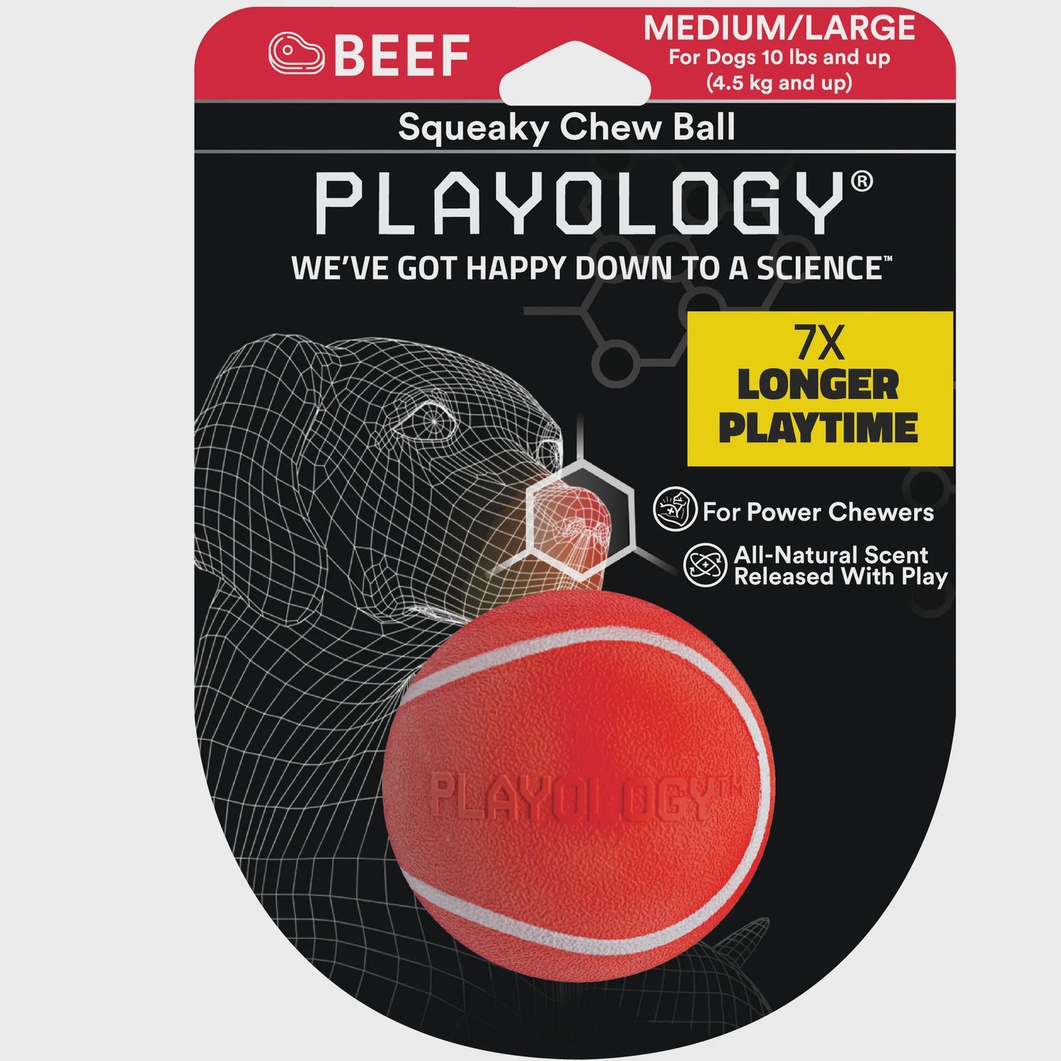Toy Playology Squeaky Ball Chew M/L