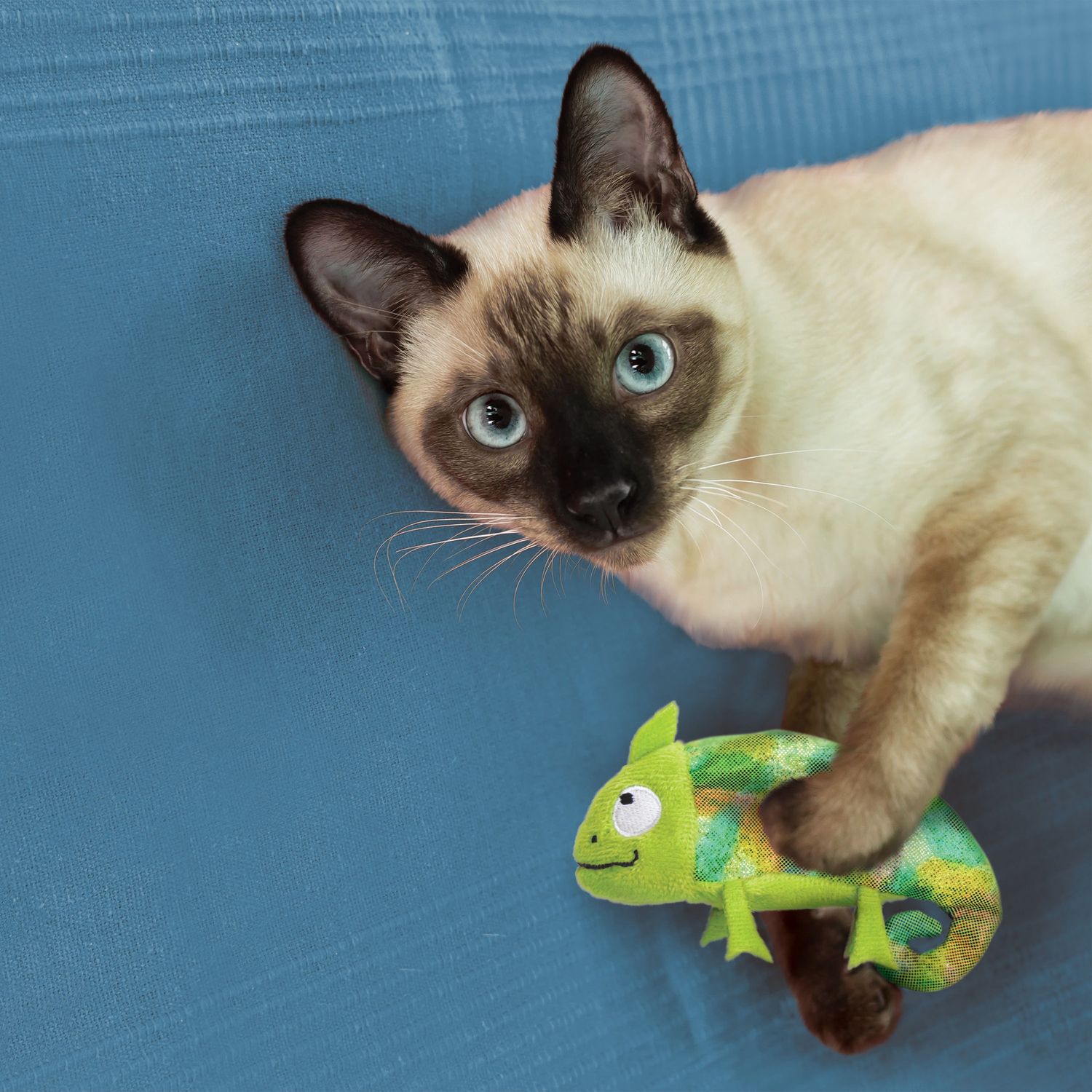 Toy Kong Cat Chameleon