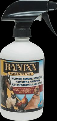 Banixx Horse &amp; Pet Care 16oz