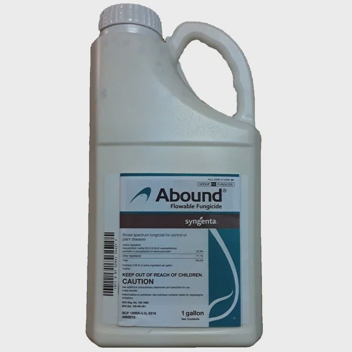 Abound Gallon