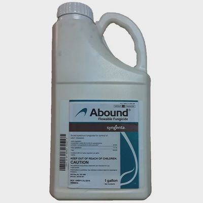 Abound Gallon