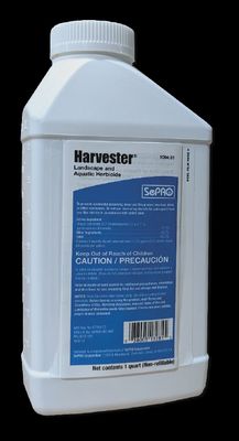 Harvester Gal (replaces Reward)