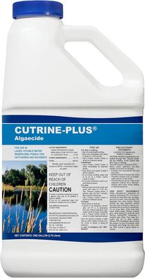 Cutrine Plus Gal