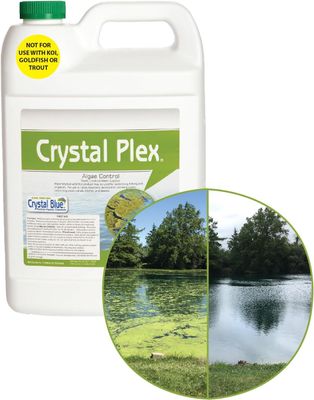 Crystal Plex gal