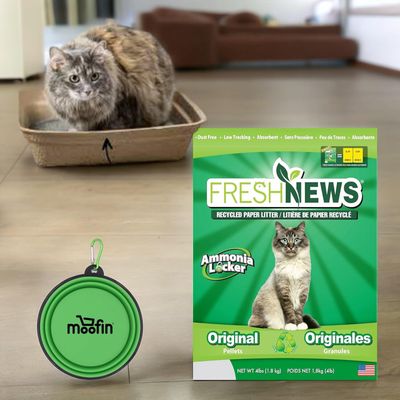Litter Fresh News 4lb