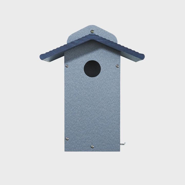 BF Bkyd Bluebird House