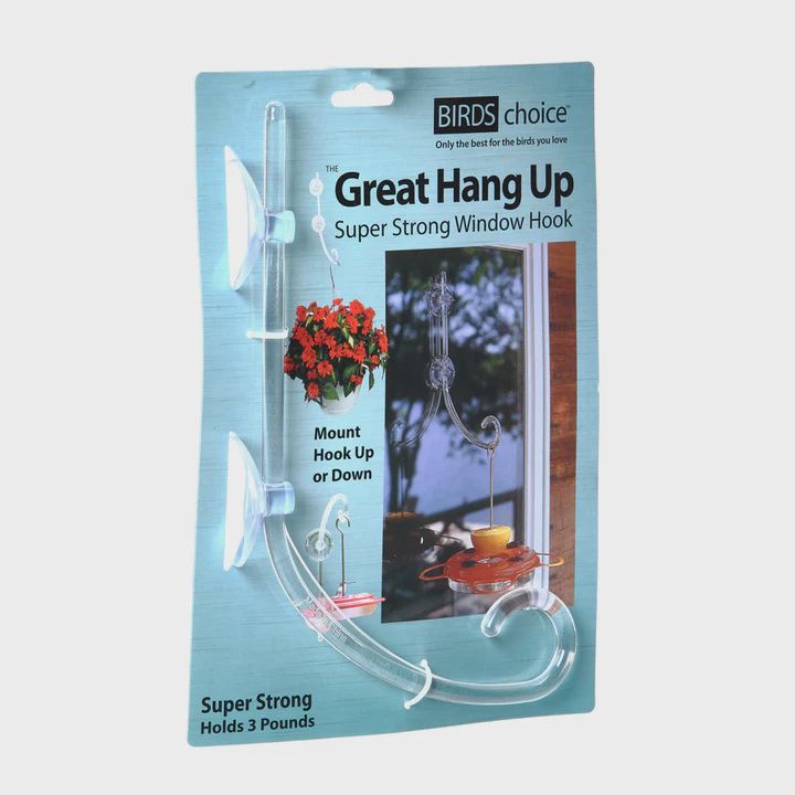 BF Bkyd Hook Window