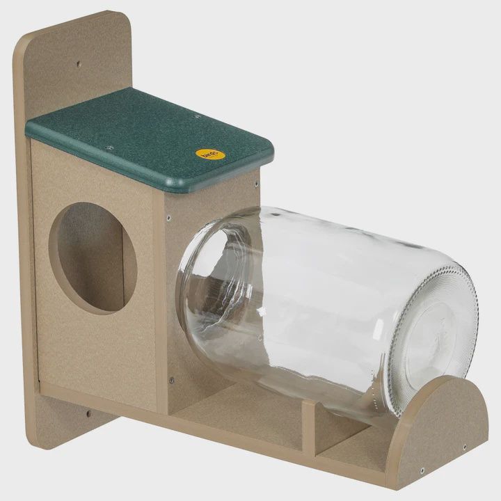 BF Bkyd Squirrel Jar Feeder
