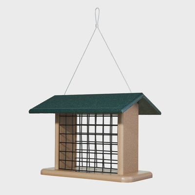 BF Bkyd Seed/Suet Block