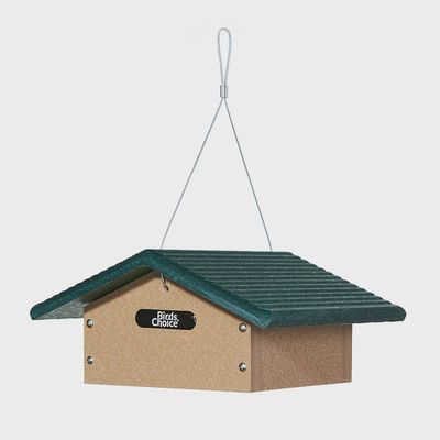 BF Bkyd Upside Down Suet