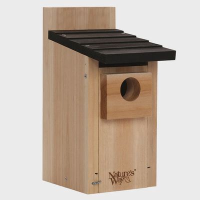 BF Bluebird House Cedar