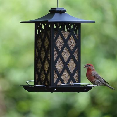 BF Granary Style Feeder