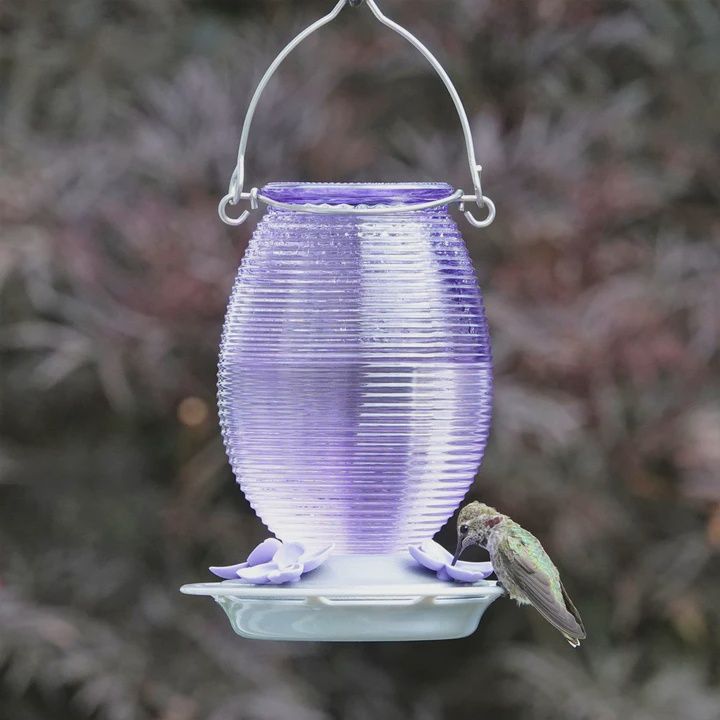 BF HB Lilac Dream Glass 29oz
