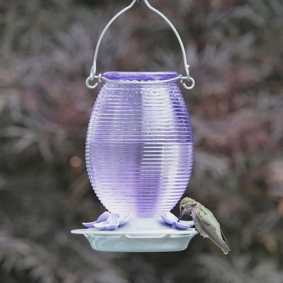BF HB Lilac Dream Glass 29oz