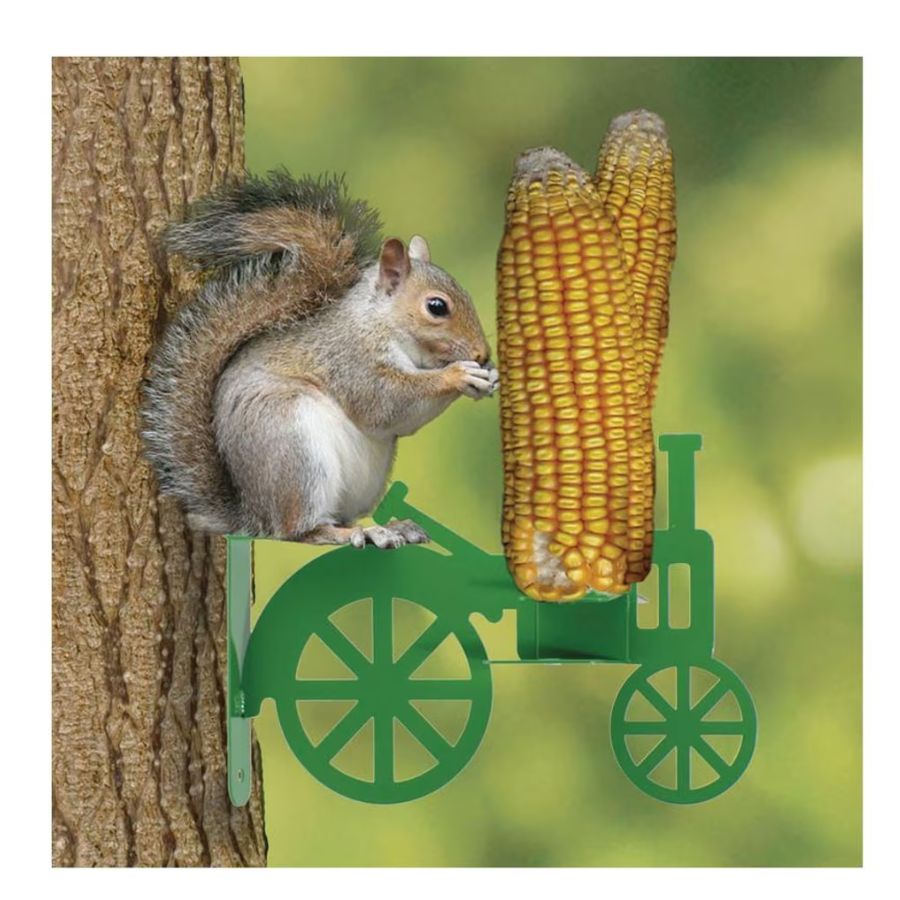 BF Squirrel Tractor Feeder