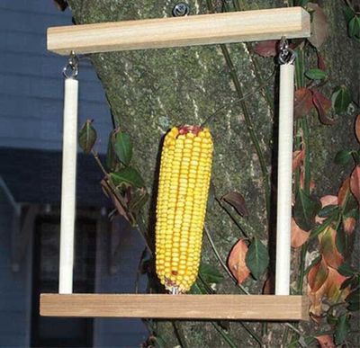BF Squirrel Trapeze