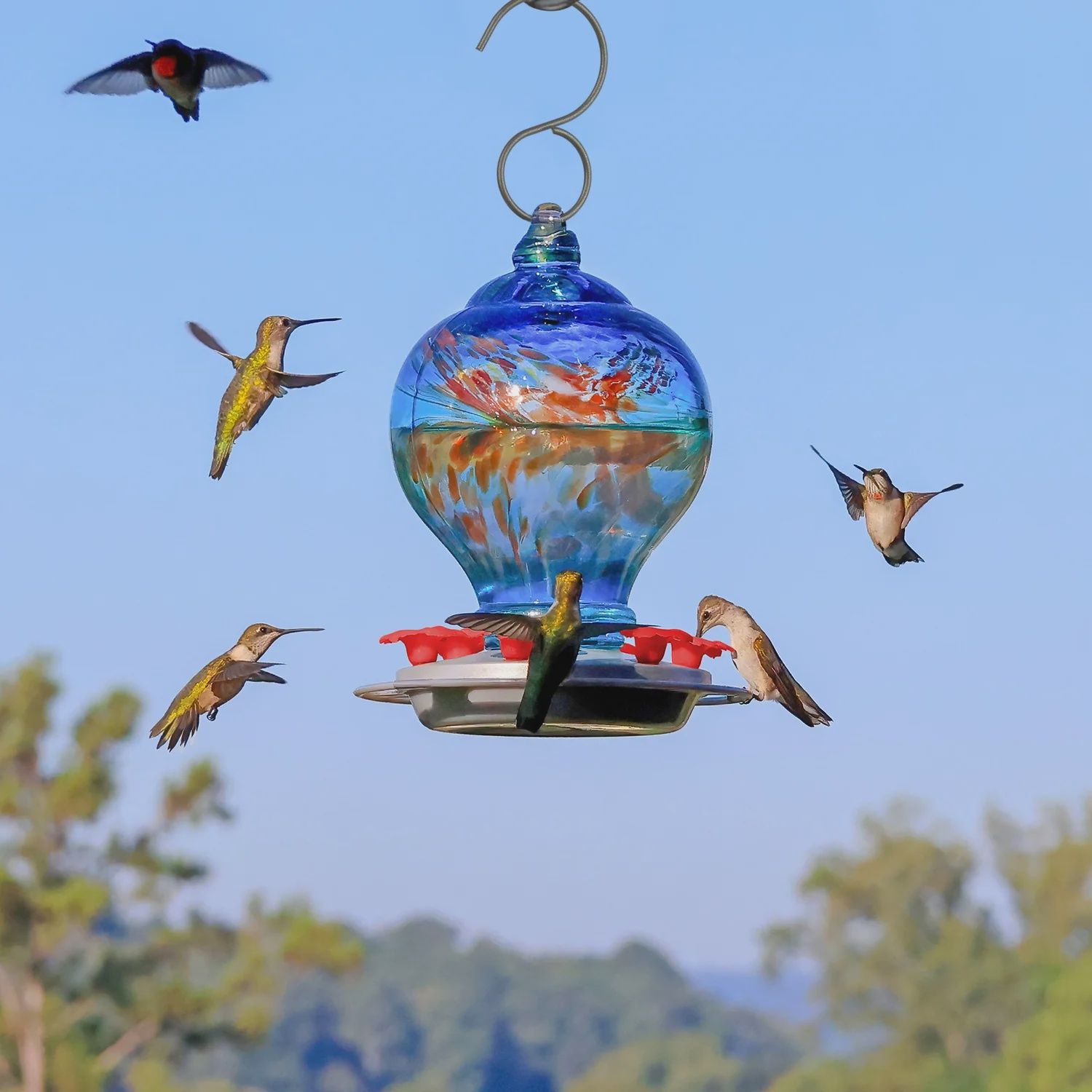 BF Hum Bird Artisan 28oz