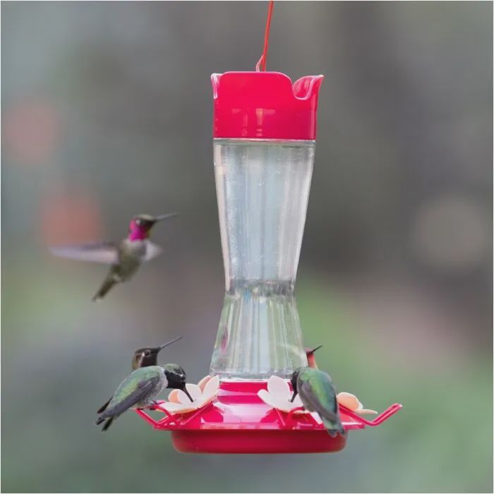BF Hummers Top Fill Pinch 12oz Glass