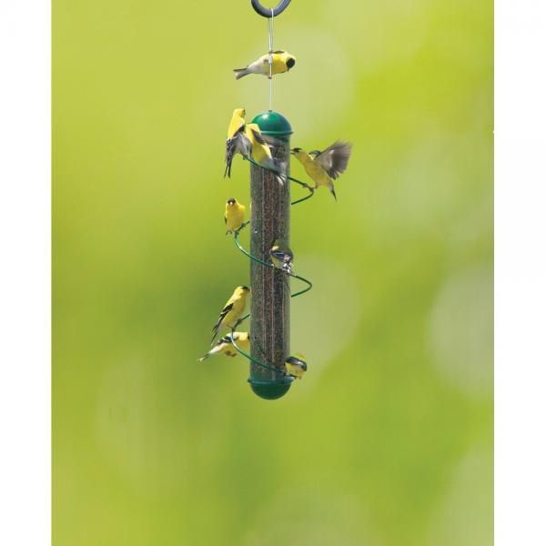 BF Spiral Finch 17&quot; Green