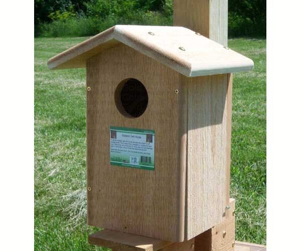 BF Screech Owl House